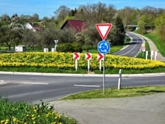 Blühende Kreisverkehre 2023-2.JPG
