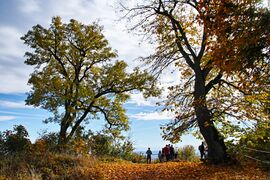 Burg Hohenhewen Oktober 2022 SDQH8350.jpg