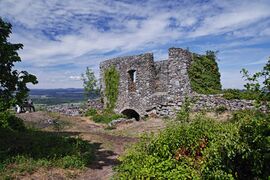 Burg Maegdeberg Mai 2020 SDQH2614.jpg