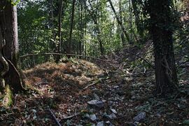 Dietingen Burg Hohenstein September 2024 SDQH2970.jpg