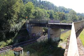 Eisenbahnbrücke Neckartal vor Abriss 10.08.2024-13.JPG