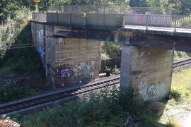 Eisenbahnbrücke Neckartal vor Abriss 10.08.2024-14.JPG