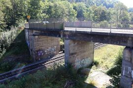 Eisenbahnbrücke Neckartal vor Abriss 10.08.2024-15.JPG