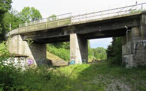 Eisenbahnbrücke Neckartal vor Abriss 10.08.2024-2.JPG