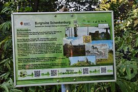 Epfendorf Schenkenburg September 2024 SDQH3078.jpg