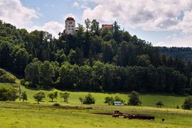 Fridingen Donau Schloss Bronnen Juli 2012 SDIM3805.jpg