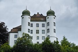 Muehlheim Donau Hinteres Schloss Juli 2024 SDQH0454.jpg