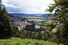 Muehlheim Donau Hinteres Schloss Juli 2024 SDQH0487.jpg