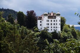 Muehlheim Donau Hinteres Schloss Juli 2024 SDQH0492.jpg