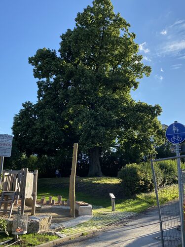 Neueröffnung Spielplatz Karolinger Weg 07.08.2024-3.JPG