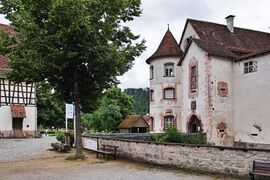 Sulz Wasserschloss Glatt Juni 2024 SDQH0209.jpg