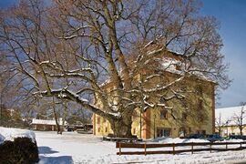 Wellendingen Schloss Rathaus Maerz 2005 IMG01318.jpg