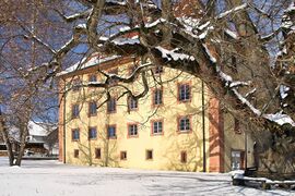 Wellendingen Schloss Rathaus Maerz 2005 IMG01324.jpg