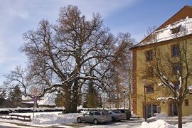 Wellendingen Schloss Rathaus Maerz 2005 IMG01328.jpg